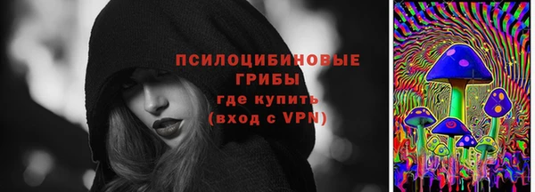 сатива Бронницы