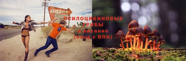 jwh Бородино