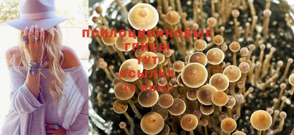 сатива Бронницы